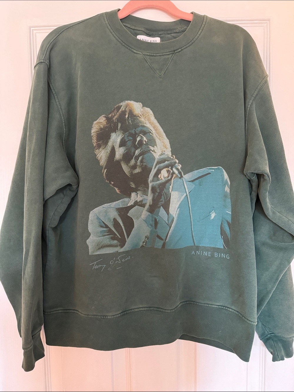Anine Bing Ramona AB x To Bowie vintage green crewneck